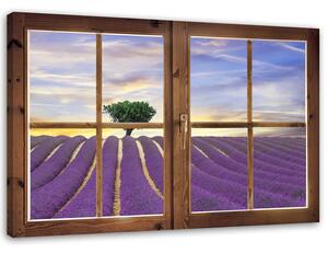 Obraz na plátně Okno - levandulové pole Rozměry: 60 x 40 cm