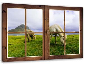 Obraz na plátně Okno - pohled na koně Rozměry: 60 x 40 cm