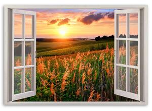 Obraz na plátně Okno - pohled na pole květin Rozměry: 60 x 40 cm