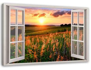 Obraz na plátně Okno - pohled na pole květin Rozměry: 60 x 40 cm