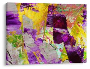 Obraz abstrakce - malba (70x50 cm)