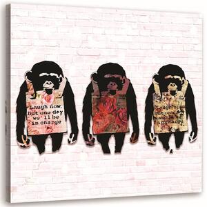 Obraz na plátně Banksy 3 opice Rozměry: 30 x 30 cm