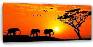 Obraz Panorama africké savany Rozměry: 120 x 40 cm, Provedení: Obraz na plátně