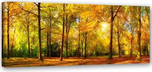 Obraz na plátně Zlatý les Rozměry: 90 x 30 cm