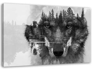 Obraz Černý vlk na pozadí lesa a jezera abstraktní Velikost: 60 x 40 cm, Provedení: Obraz na plátně