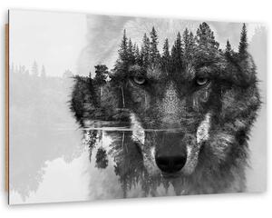 Gario Obraz Černý vlk na pozadí lesa a jezera abstraktní Velikost: 120 x 80 cm, Provedení: Panelový obraz