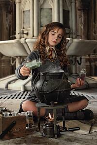 Plakát, Obraz - Harry Potter - Hermione Granger, 61 × 91.5 cm