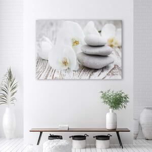 Obraz Bílá orchidej a kameny Rozměry: 100 x 70 cm, Provedení: Obraz na plátně