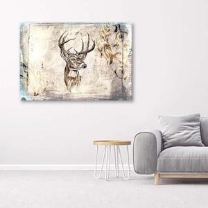 Obraz na plátně Nákres hlavy jelena Rozměry: 60 x 40 cm