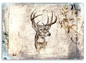Obraz na plátně Nákres hlavy jelena Rozměry: 60 x 40 cm