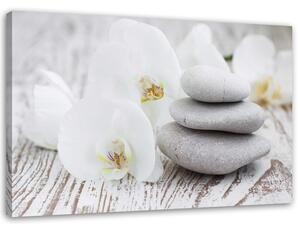 Gario Obraz Bílá orchidej a kameny Velikost: 100 x 70 cm, Provedení: Obraz na plátně