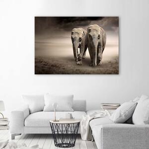 Obraz na plátně Sloni v poušti Rozměry: 60 x 40 cm