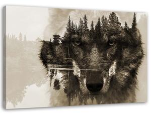 Obraz na plátně Wolf abstrakt Rozměry: 60 x 40 cm