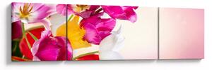 Obraz tulipánů (170x50 cm)