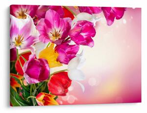 Obraz tulipánů (70x50 cm)