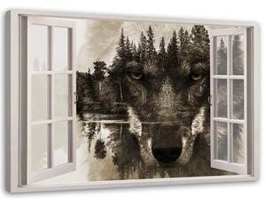 Obraz na plátně Vlk v okně Rozměry: 60 x 40 cm
