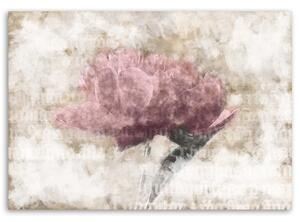 Obraz Abstraktní květiny Rozměry: 100 x 70 cm, Provedení: Obraz na plátně
