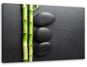 Obraz na plátně Bambus a zenové kameny na černém pozadí Rozměry: 60 x 40 cm