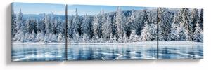 Obraz zamrzlého jezera a zasněžených stromů (170x50 cm)
