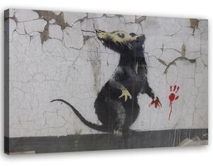 Obraz na plátně Banksy krysí tlapka Rozměry: 60 x 40 cm