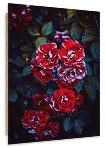 Gario Obraz Červené květy na pozadí listů Velikost: 40 x 60 cm, Provedení: Panelový obraz