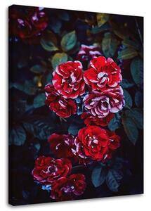 Gario Obraz Červené květy na pozadí listů Velikost: 40 x 60 cm, Provedení: Obraz na plátně