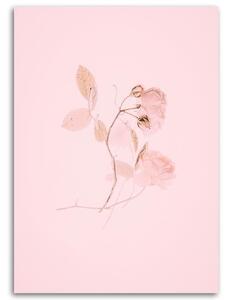 Obraz na plátně Minimalistický růžový květ Rozměry: 40 x 60 cm