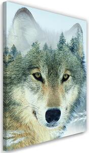 Obraz na plátně Vlk v pozadí lesa Rozměry: 40 x 60 cm