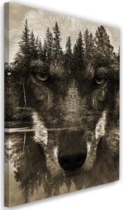 Obraz Černý vlk abstraktní, sépie Velikost: 40 x 60 cm, Provedení: Obraz na plátně