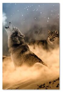 Obraz na plátně Dva vlci vyjí v noci na měsíc Rozměry: 40 x 60 cm