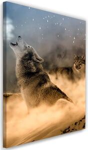Obraz na plátně Dva vlci vyjí v noci na měsíc Rozměry: 40 x 60 cm