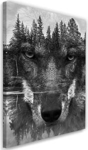 Obraz na plátně Černý vlk abstraktní Rozměry: 40 x 60 cm