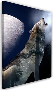 Obraz na plátně Vlk vyje v noci na měsíc Rozměry: 40 x 60 cm