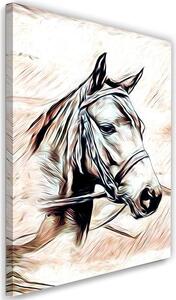 Obraz na plátně Malovaný kůň Rozměry: 40 x 60 cm