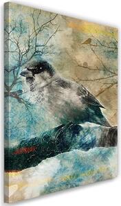 Obraz na plátně Zimní pták Rozměry: 40 x 60 cm