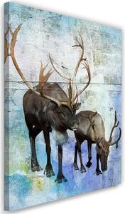 Obraz na plátně Jelen a sob v zimě Rozměry: 40 x 60 cm