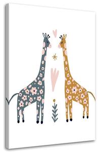 Obraz na plátně Barevné žirafy Rozměry: 40 x 60 cm