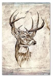 Obraz na plátně Náčrtek jelena Rozměry: 40 x 60 cm