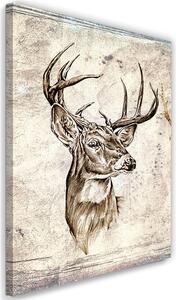 Obraz na plátně Náčrtek jelena Rozměry: 40 x 60 cm