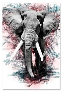 Obraz na plátně Slon na abstraktním pozadí Rozměry: 40 x 60 cm