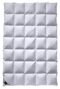CELOROČNÍ PŘIKRÝVKA, 135/200 cm, Billerbeck - Přikrývky