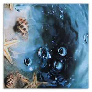 Obraz na plátně Mušle v modré vodě Rozměry: 30 x 30 cm