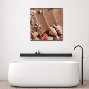 Obraz na plátně Mušle na suchém písku Rozměry: 30 x 30 cm