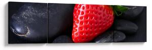 Obraz - jahoda (170x50 cm)