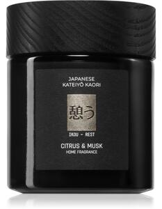 Vila Hermanos Apothecary Japanese Rest vonná svíčka 150 g