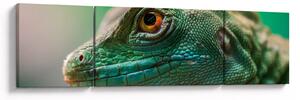 Detailní obraz ještěra (170x50 cm)