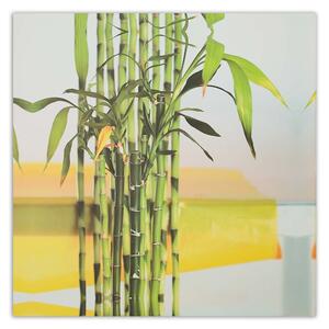 Obraz na plátně Nějaký zelený bambus Rozměry: 30 x 30 cm