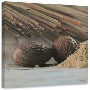 Obraz na plátně Dva hnědé ořechy Rozměry: 30 x 30 cm