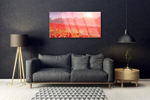 Obraz na skle Louka Květiny Příroda 120x60 cm