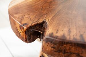 Unikátní stolička z kořene teakového stromu Invicta Interior